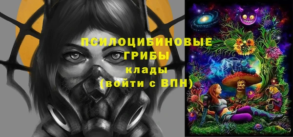 гидра Алзамай