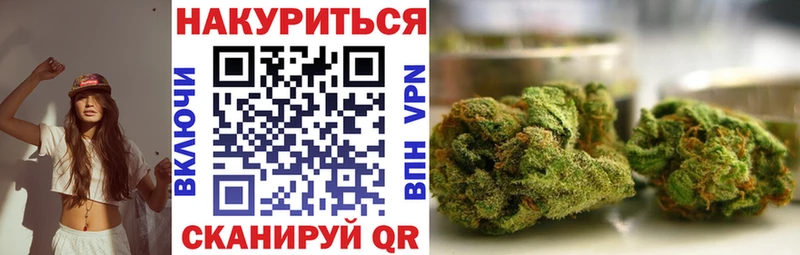 hydra рабочий сайт  Жуковка  Бошки марихуана сатива  где купить  